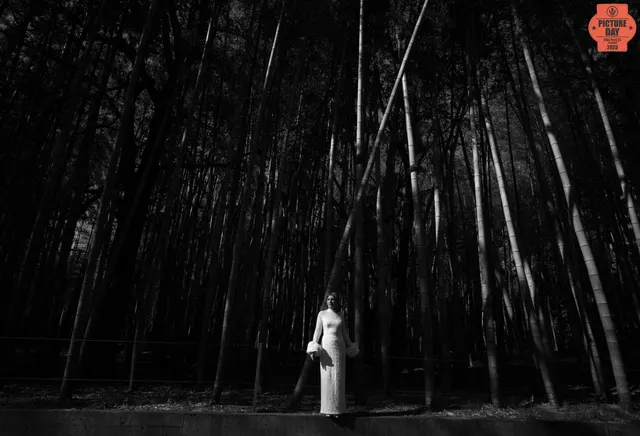 bride bamboo forest dark dramatic portrait georgia — GOGA Photography