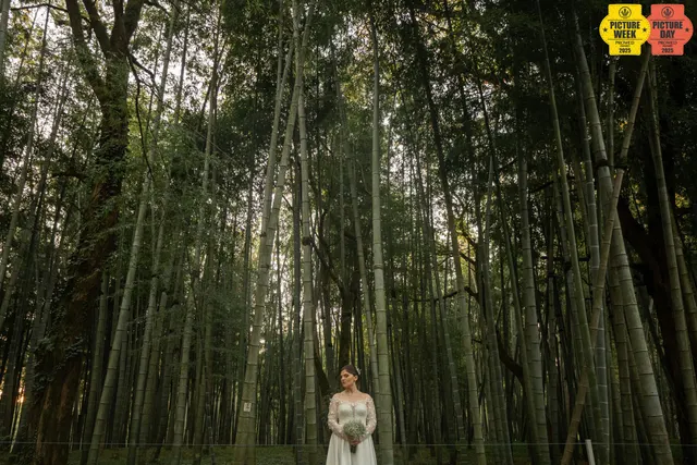bride bamboo forest lace dress standing wedding photography georgia — GOGA Photography