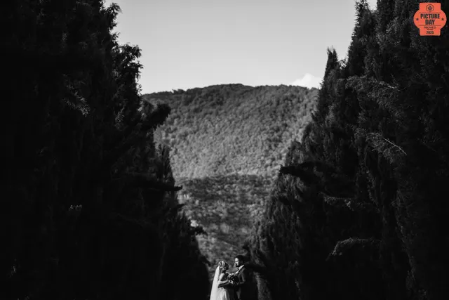 couple cypress alley mountain landscape georgia wedding — GOGA Photography