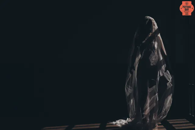 bride veil covered silhouette dark editorial wedding — GOGA Photography
