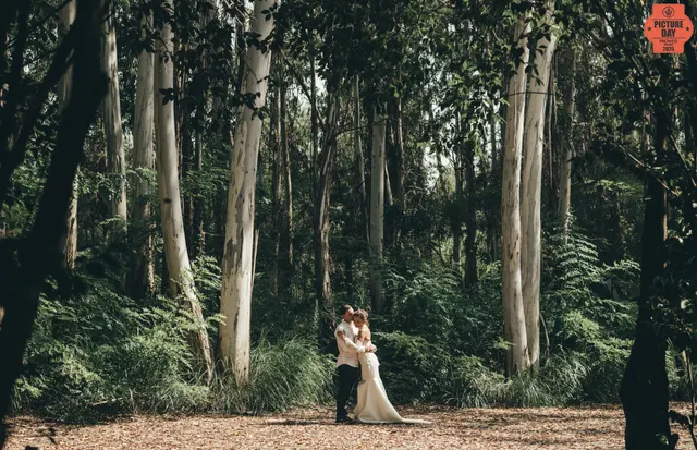 bride groom embrace eucalyptus forest film wedding — GOGA Photography