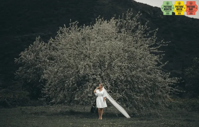 bride veil blossoming tree moody landscape georgia — GOGA Photography